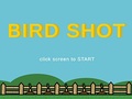                                                                     Bird Shot ﺔﺒﻌﻟ