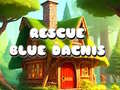                                                                     Rescue Blue Dacnis ﺔﺒﻌﻟ