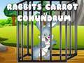                                                                     Rabbits Carrot Conundrum ﺔﺒﻌﻟ