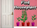                                                                     Find Houseplant ﺔﺒﻌﻟ