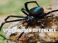                                                                     Spider Hidden Difference ﺔﺒﻌﻟ