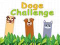                                                                     Doge Challenge ﺔﺒﻌﻟ