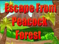                                                                     Escape From Peacock Forest ﺔﺒﻌﻟ