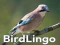                                                                     BirdLingo ﺔﺒﻌﻟ