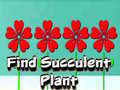                                                                     Find Succulent Plant ﺔﺒﻌﻟ