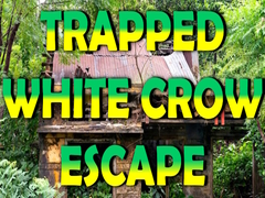                                                                     Trapped White Crow Escape ﺔﺒﻌﻟ