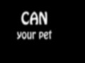                                                                     Can Your Pet ﺔﺒﻌﻟ