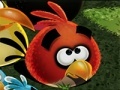                                                                     Angry Birds Save ﺔﺒﻌﻟ