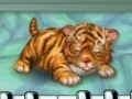                                                                     My tiger ﺔﺒﻌﻟ