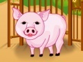                                                                     baby pig care ﺔﺒﻌﻟ