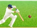                                                                     Cricket Defend the Wicket! ﺔﺒﻌﻟ