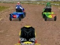                                                                     Lawnmower Racing 3D ﺔﺒﻌﻟ