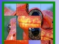                                                                     Orange frog slide puzzle ﺔﺒﻌﻟ