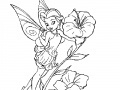                                                                     Coloring Tinker Bell -1 ﺔﺒﻌﻟ