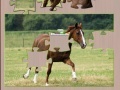                                                                     Jigsaw Horse ﺔﺒﻌﻟ