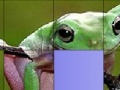                                                                     Frog Slide Puzzle ﺔﺒﻌﻟ
