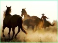                                                                     Cowboy Horses Sliding ﺔﺒﻌﻟ