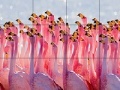                                                                     Flamingo family slide puzzle ﺔﺒﻌﻟ