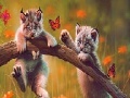                                                                     Cute naughty cats slide puzzle ﺔﺒﻌﻟ
