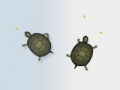                                                                     Turtles ﺔﺒﻌﻟ