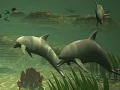                                                                     Big dolphins slide puzzle ﺔﺒﻌﻟ