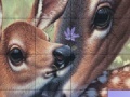                                                                    Deers and Lovely Day Slide Puzzle ﺔﺒﻌﻟ