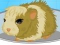                                                                     Guinea pig needs owner ﺔﺒﻌﻟ