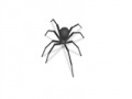                                                                     Spider ﺔﺒﻌﻟ