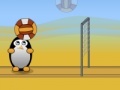                                                                     Volleyball Penguins ﺔﺒﻌﻟ
