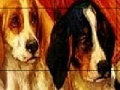                                                                     Red umbrella dogs slide puzzle ﺔﺒﻌﻟ