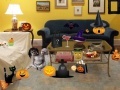                                                                     Halloween Room ﺔﺒﻌﻟ