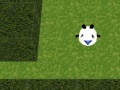                                                                     Panda Hates Mazes ﺔﺒﻌﻟ