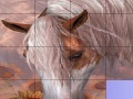                                                                     Slide Puzzle: Horse ﺔﺒﻌﻟ