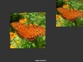                                                                     Orange Butterfly ﺔﺒﻌﻟ