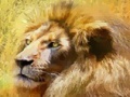                                                                     Great lion puzzle ﺔﺒﻌﻟ