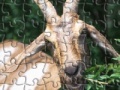                                                                     Happy Goat Jigsaw ﺔﺒﻌﻟ