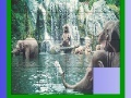                                                                     Elephants in the sea slide puzzle ﺔﺒﻌﻟ