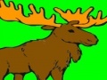                                                                    Deer coloring game ﺔﺒﻌﻟ