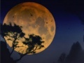                                                                     Good Night ﺔﺒﻌﻟ
