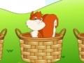                                                                     Squirrel in basket ﺔﺒﻌﻟ