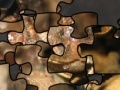                                                                     Puzzle of the American toad ﺔﺒﻌﻟ