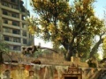                                                                     The Abandoned Neighbourhood ﺔﺒﻌﻟ