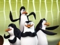                                                                     The Pinguins Of Madagascar: Whack-a-Mort ﺔﺒﻌﻟ