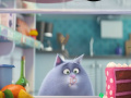                                                                     The Secret Life Of Pets Spot The Numbers ﺔﺒﻌﻟ