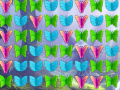                                                                    Butterfly Collector ﺔﺒﻌﻟ
