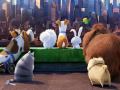                                                                     The Secret Life Of Pets Find Objects ﺔﺒﻌﻟ