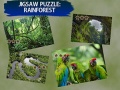                                                                     Jigsaw Puzzle Rain Forest  ﺔﺒﻌﻟ