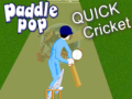                                                                    Paddle Pop Quick Cricket ﺔﺒﻌﻟ