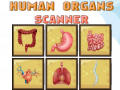                                                                     Human Organs Scanner ﺔﺒﻌﻟ