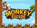                                                                     Monkey Escape ﺔﺒﻌﻟ